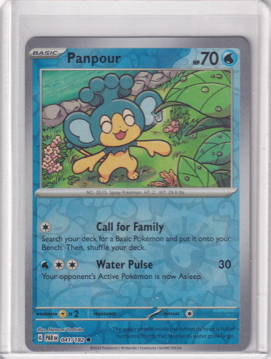 #041 Panpour