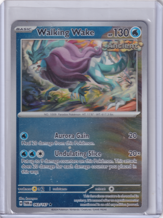 #063 Walking Wake