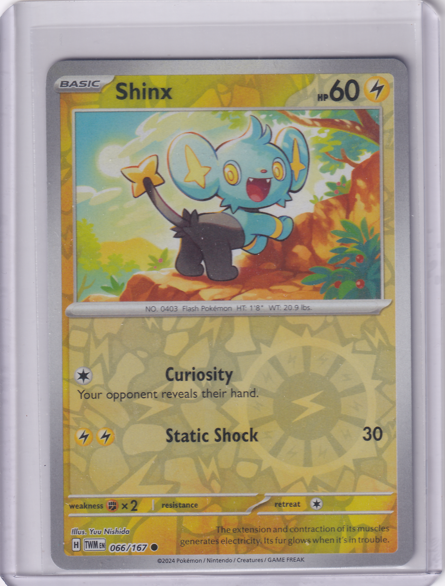 #066 Shinx