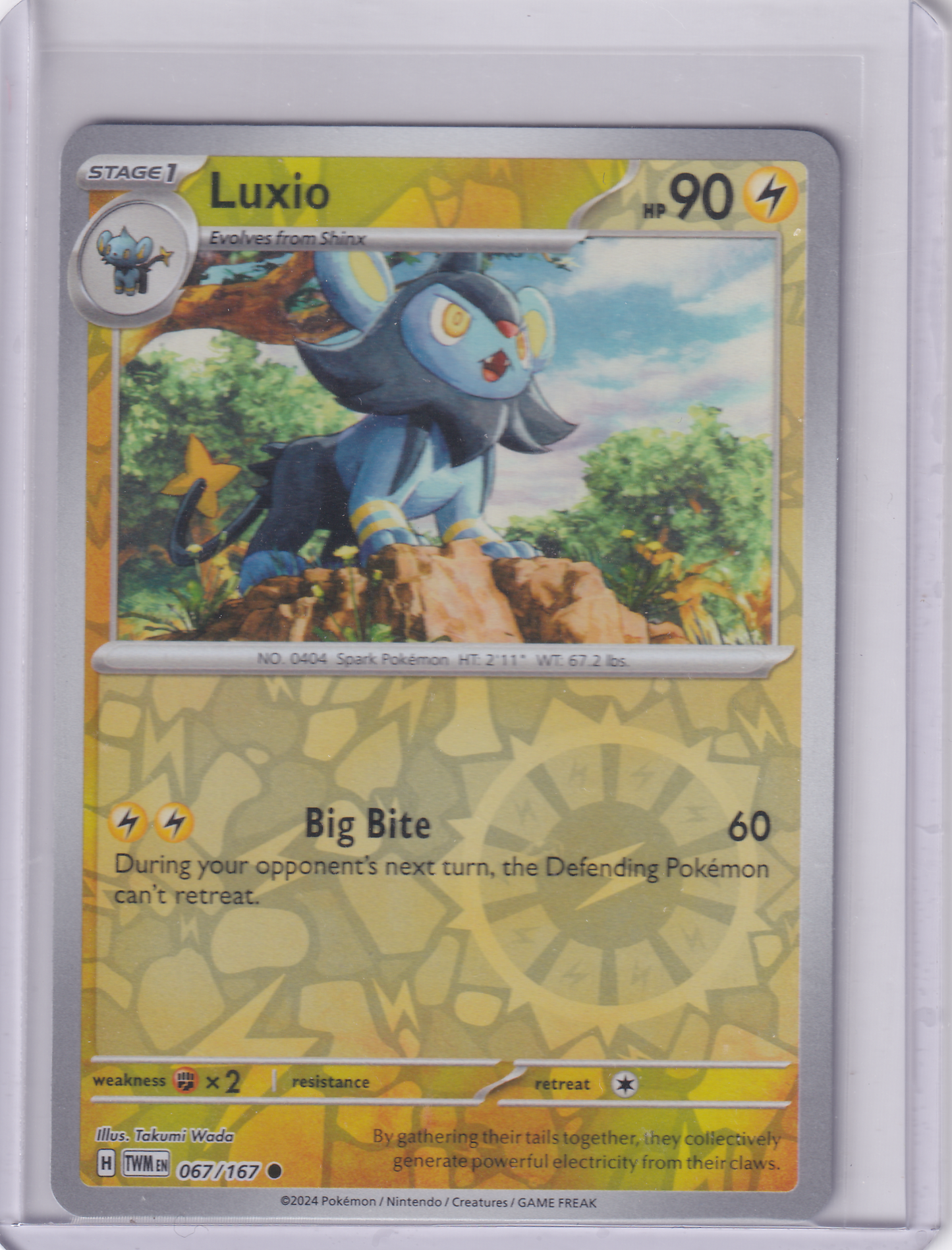#067 Luxio