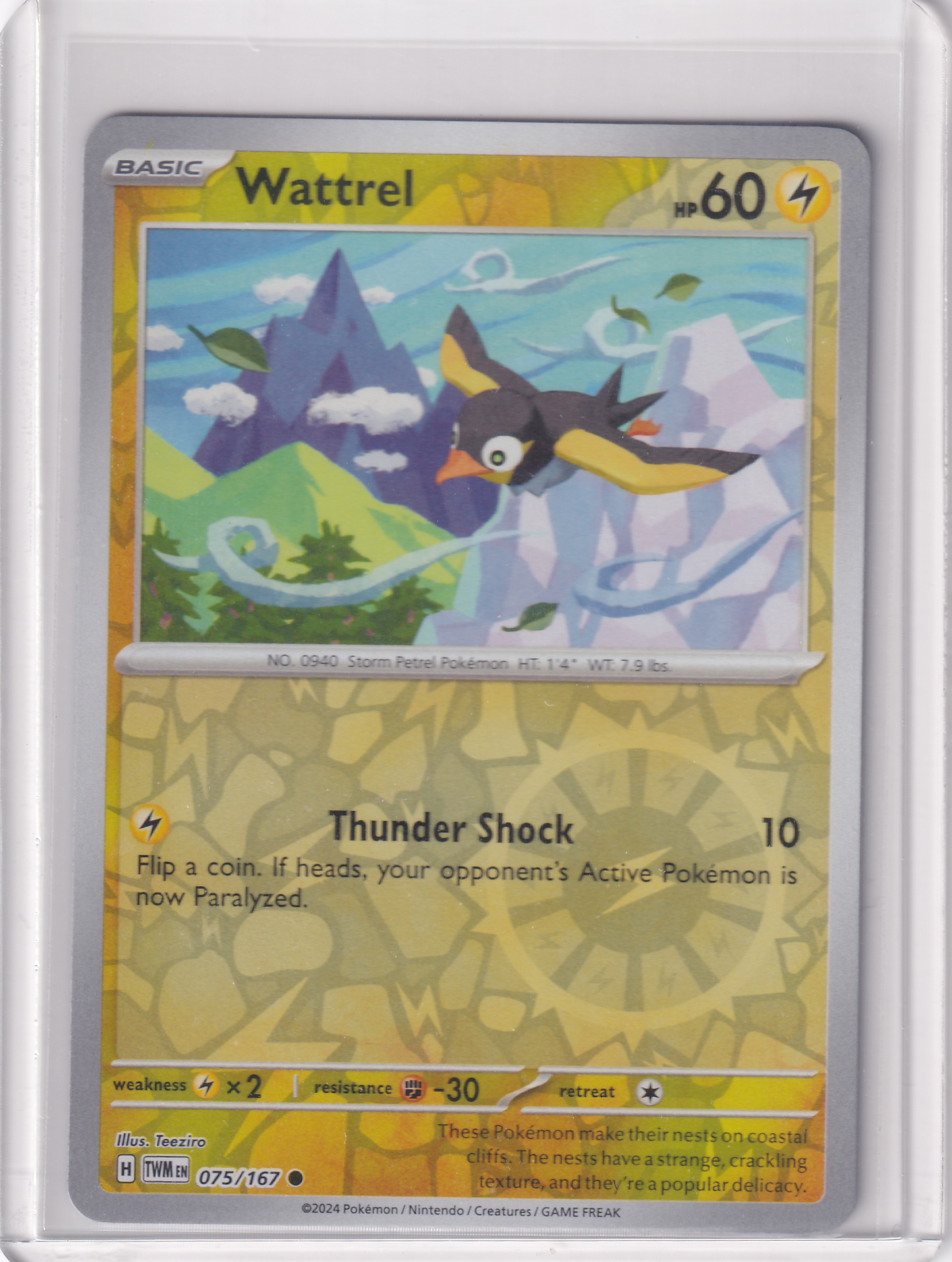 #075 Wattrel