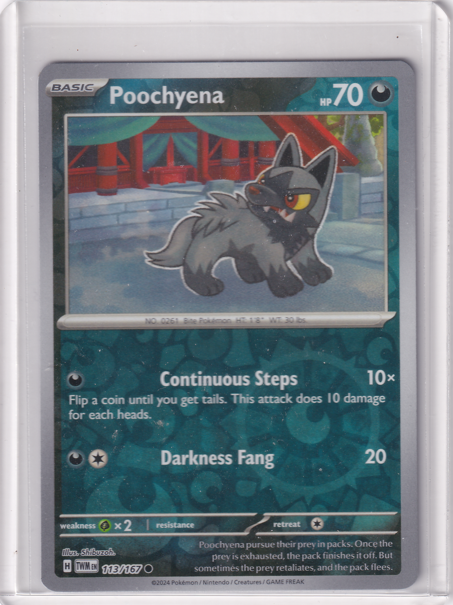 #113 Poochyena