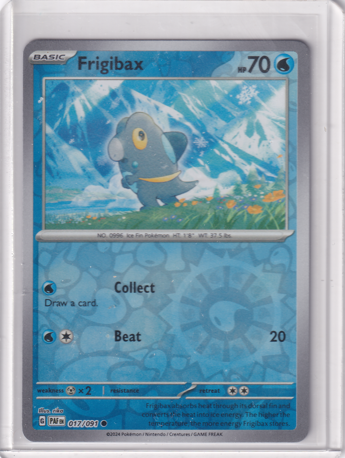 #017 Frigibax