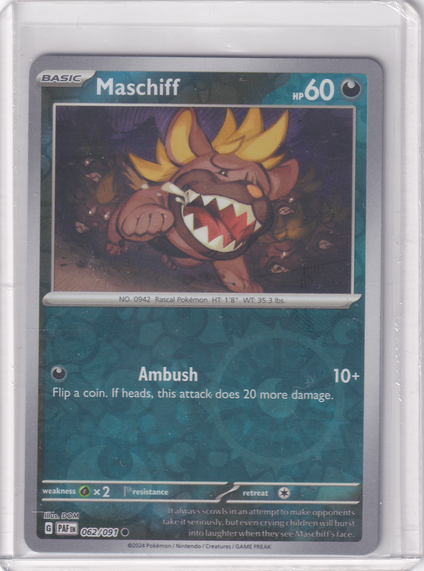 #062 Maschiff