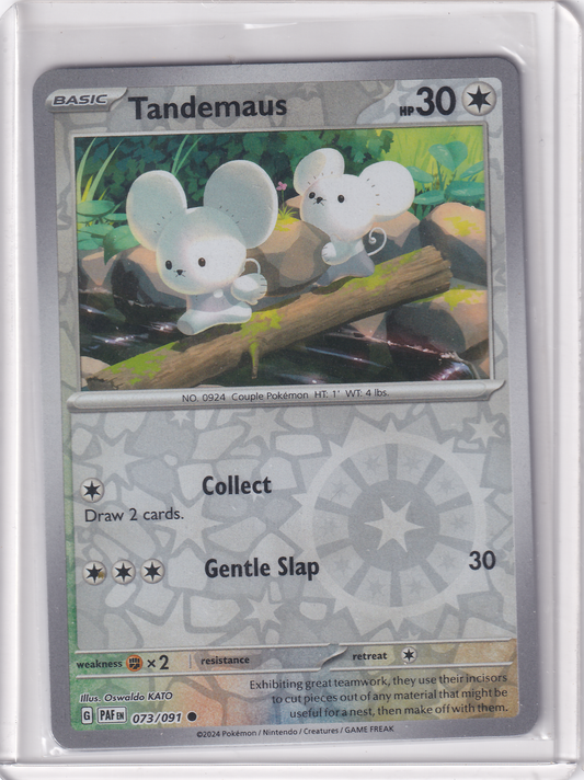 #073 Tandemaus