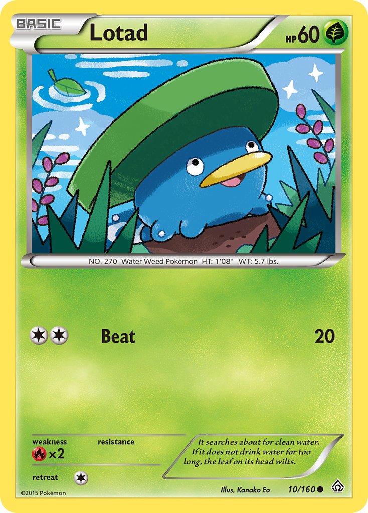 #010 Lotad