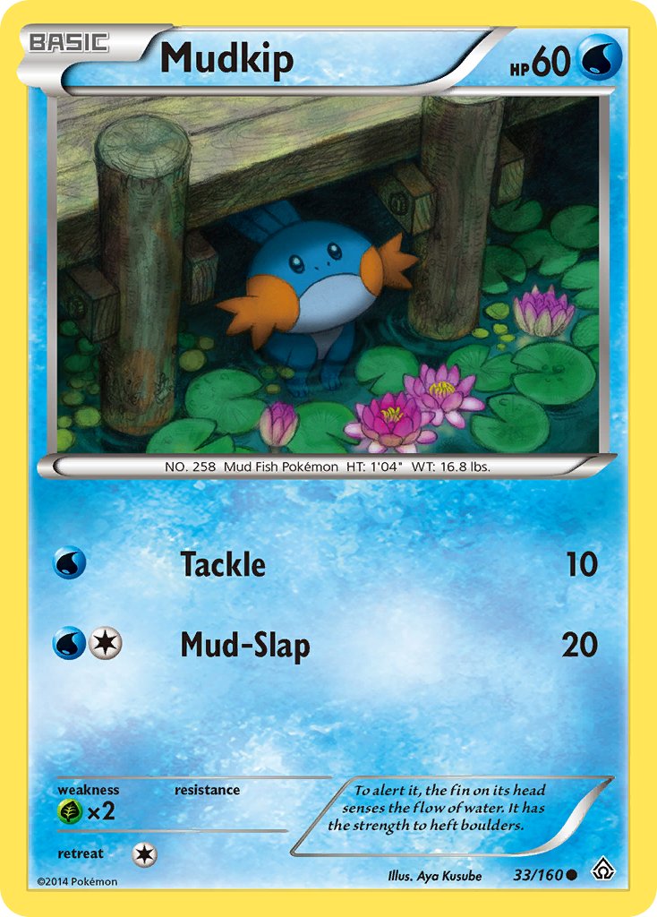 #033 Mudkip
