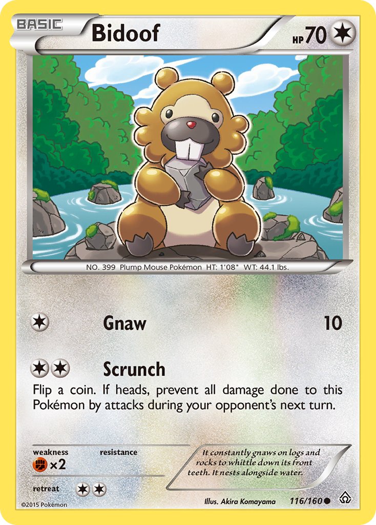 #116 Bidoof