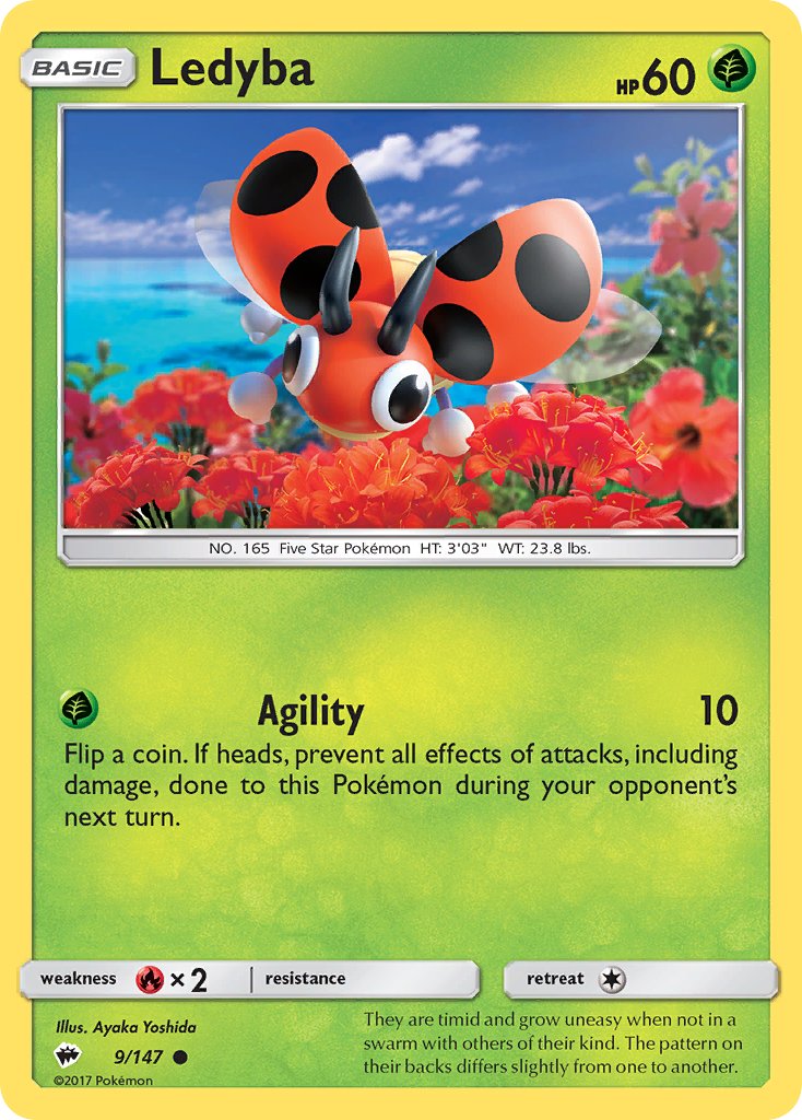 #009 Ledyba