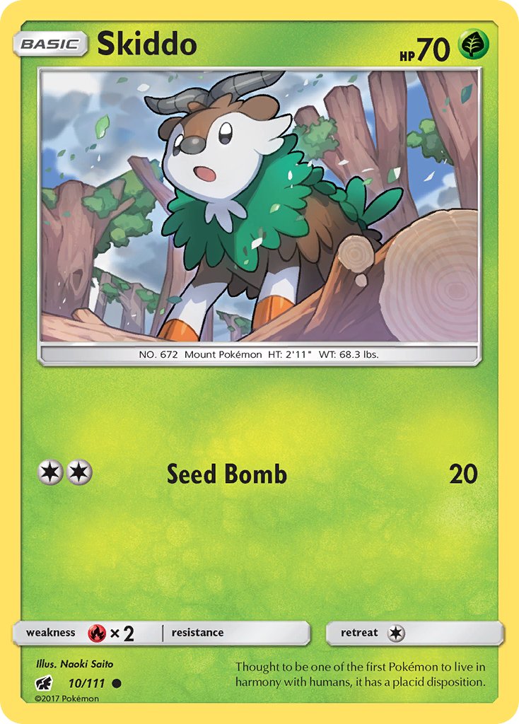#010 Skiddo