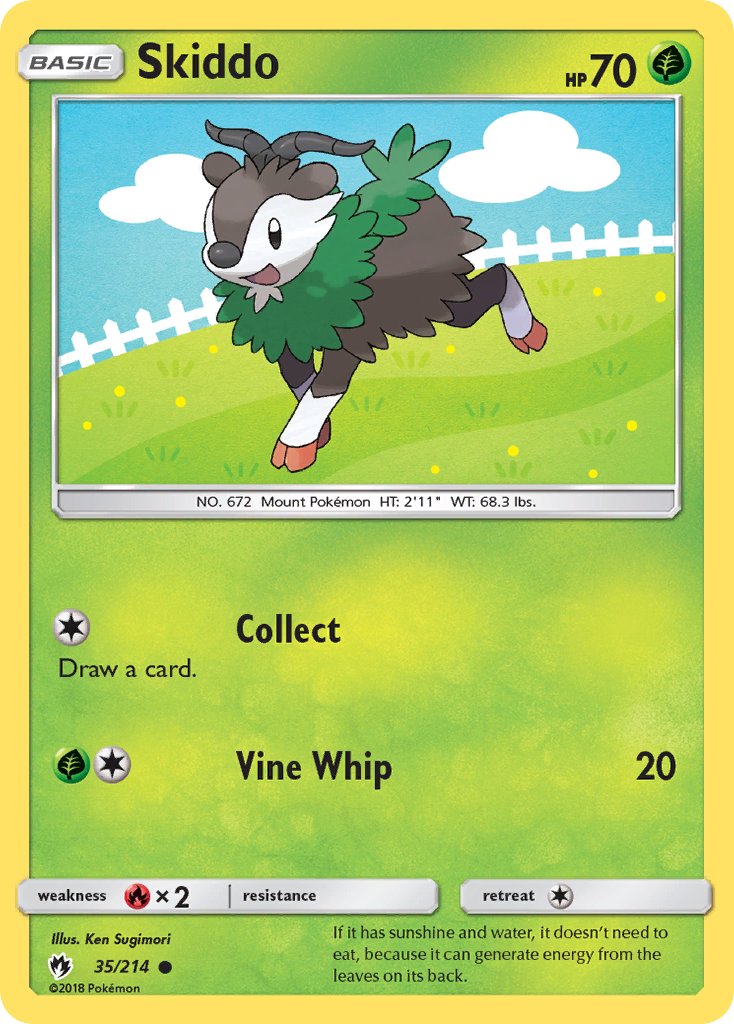 #035 Skiddo