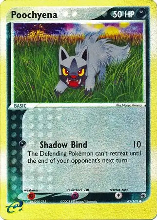 #065 Poochyena