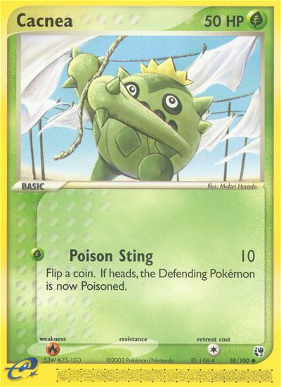 #058 Cacnea