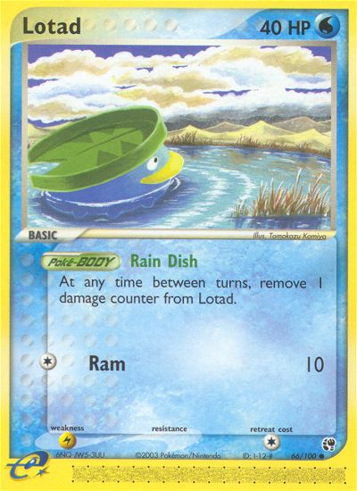#066 Lotad