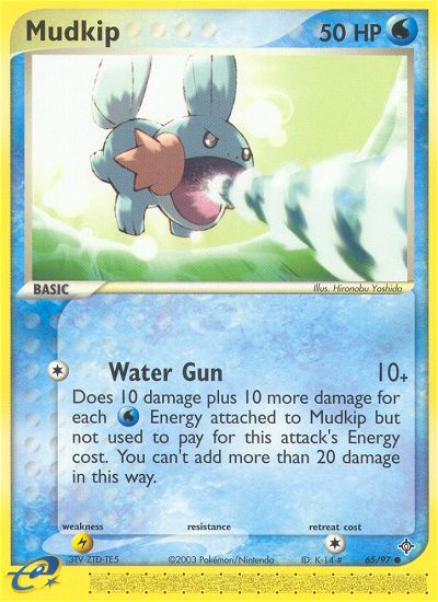 #065 Mudkip