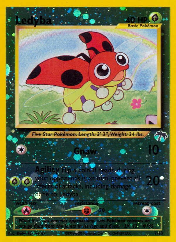 #007 Ledyba