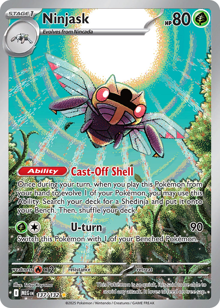 #137 Ninjask