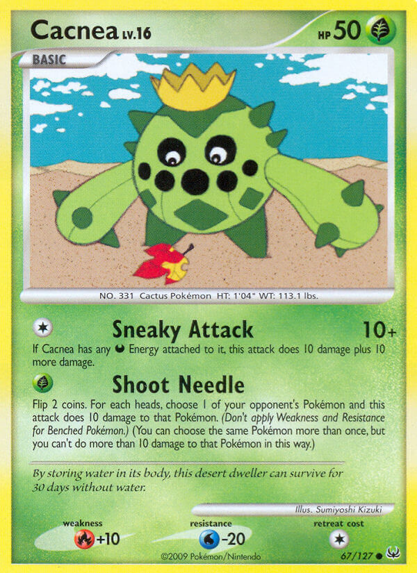 #067 Cacnea