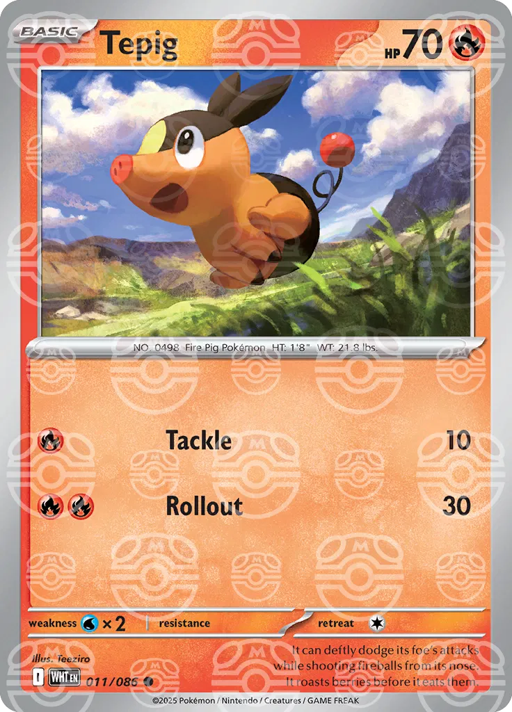 #011 Tepig