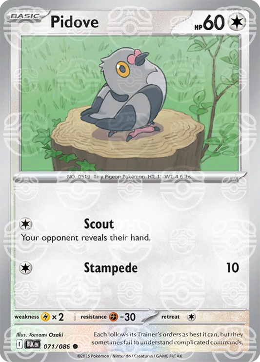 #071 Pidove