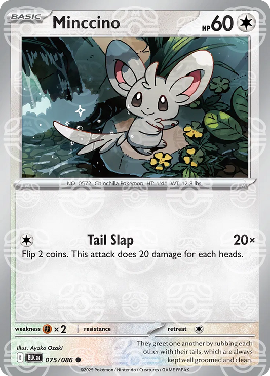 #075 Minccino