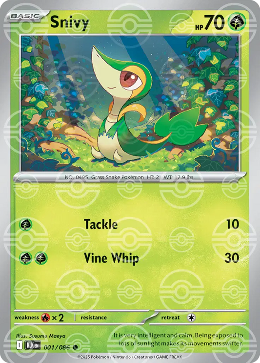 #001 Snivy