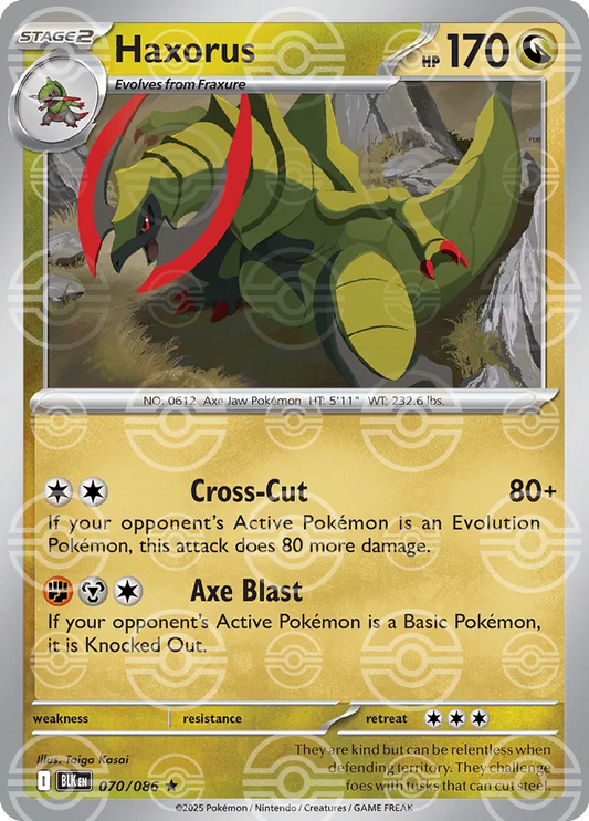#070 Haxorus