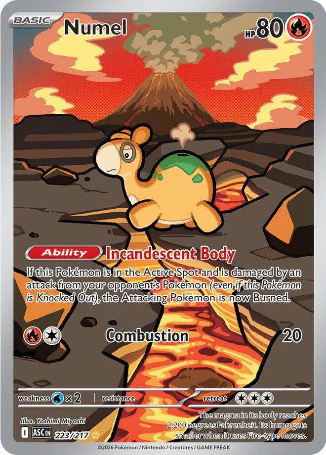#223 Numel
