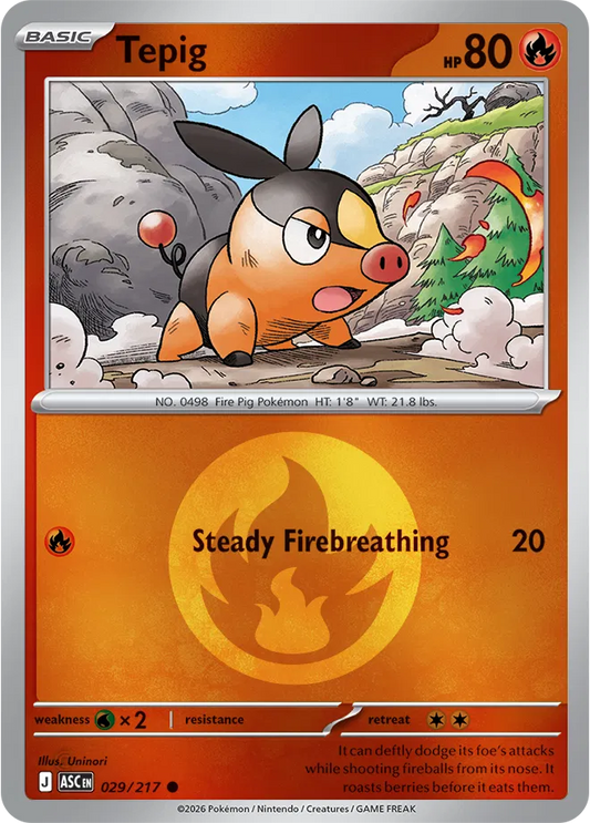 #029 Tepig