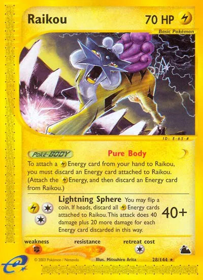 #028 Raikou
