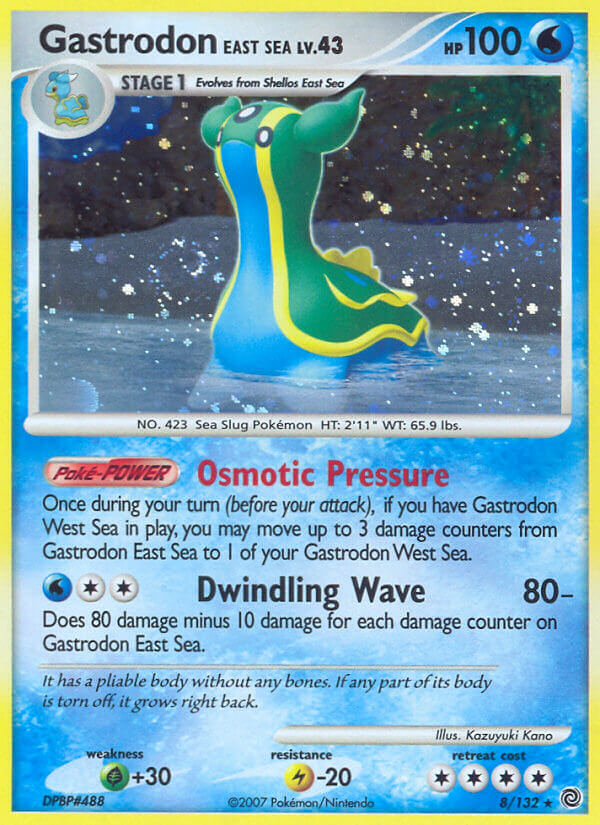 #008 Gastrodon East Sea