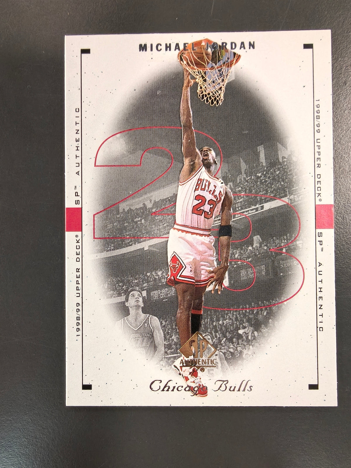 Michael Jordan NBA 6