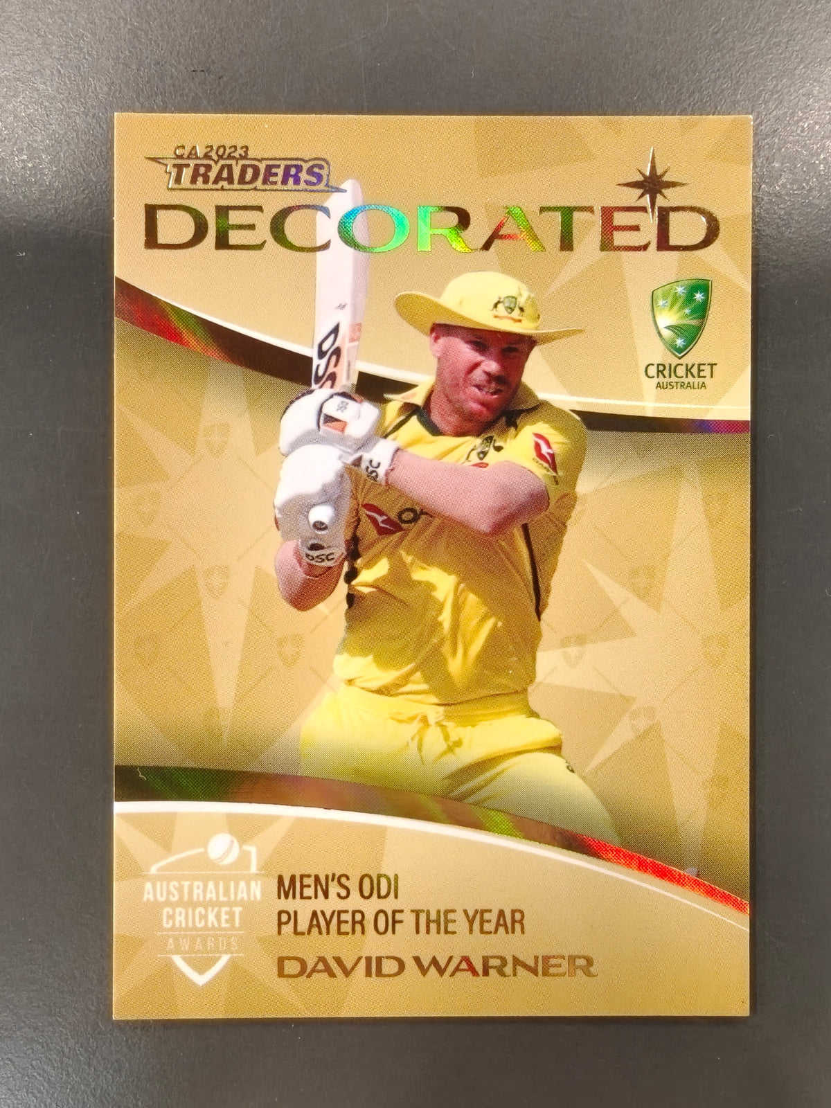 David Warner Cricket #020/147