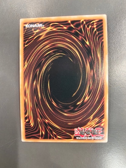 Dark Magician, The Pharaoh's Servant MAMO-EN001