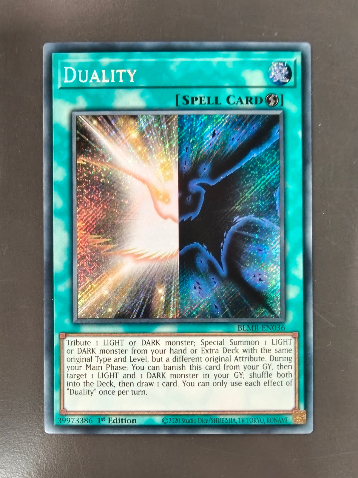 Duality BLMR-EN036