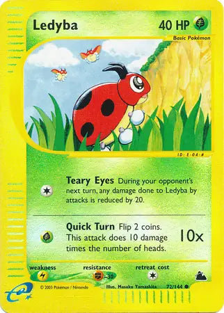#072 Ledyba