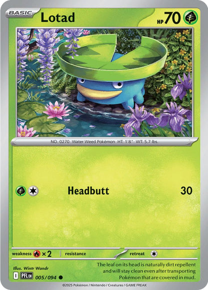 #005 Lotad