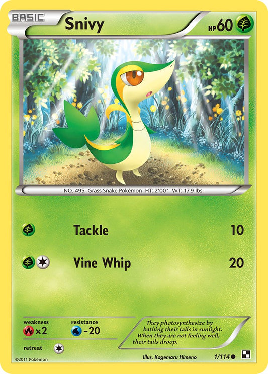 #001 Snivy