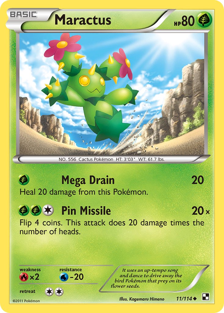 #011 Maractus