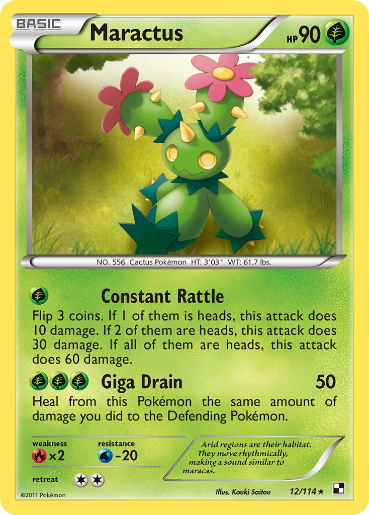#012 Maractus