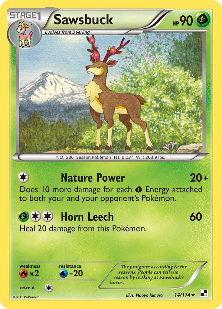 #014 Sawsbuck