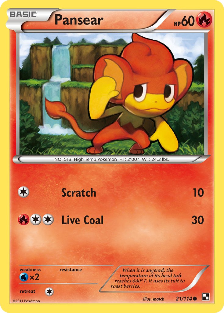 #021 Pansear