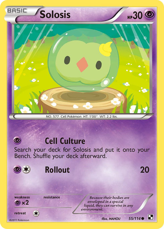 #055 Solosis