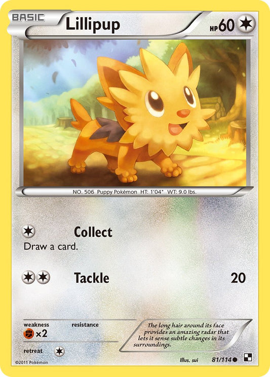 #081 Lillipup