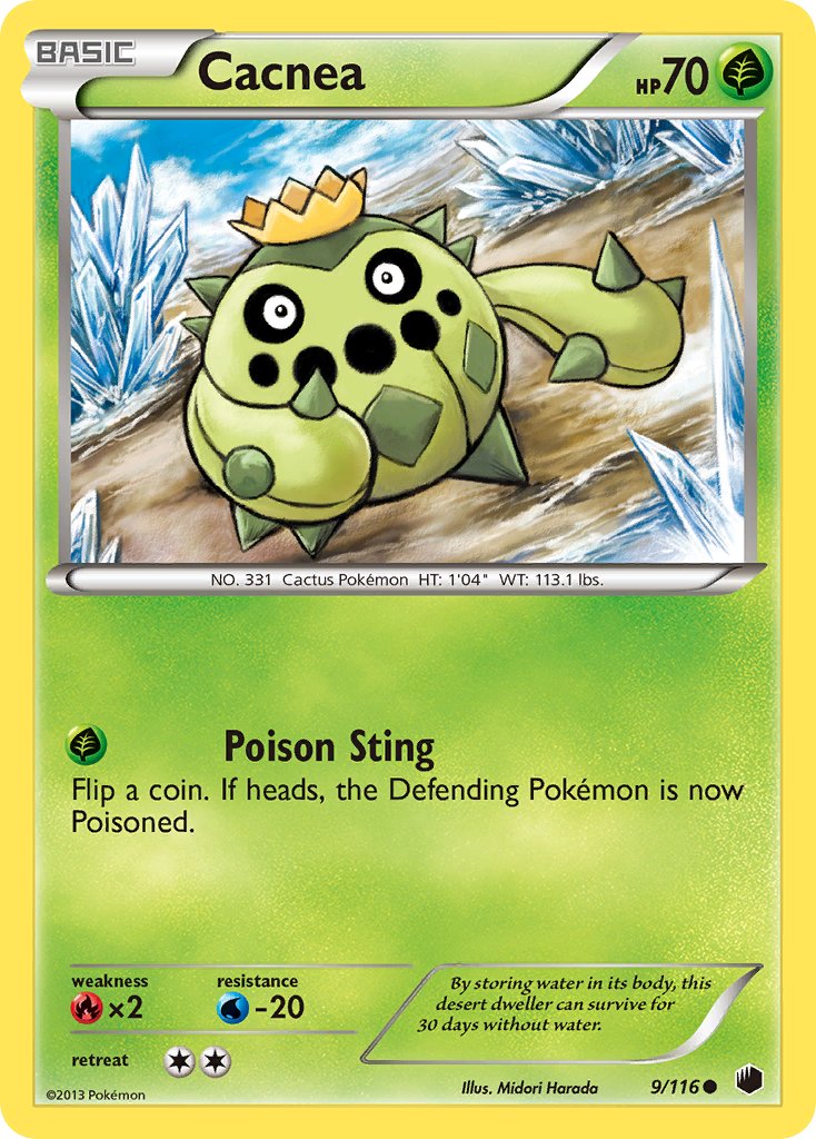 #009 Cacnea