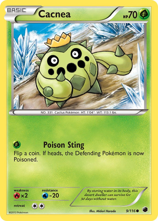 #009 Cacnea