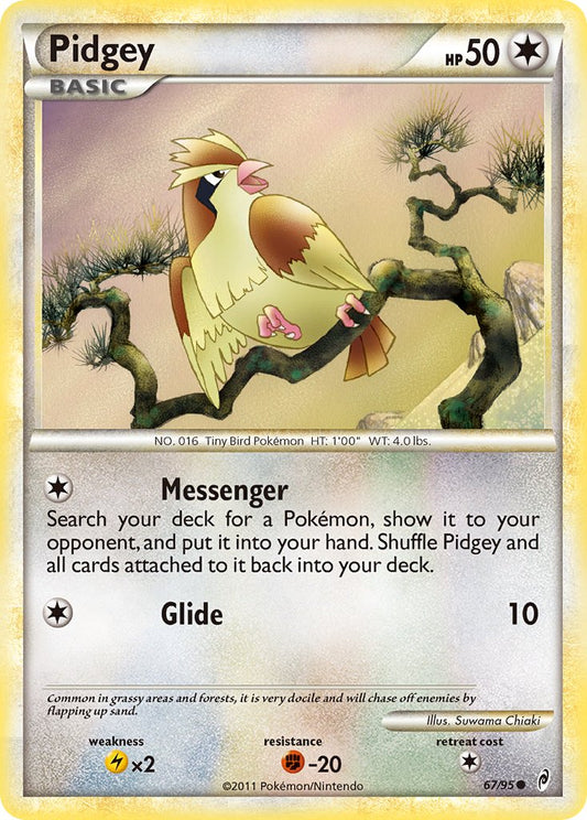 #067 Pidgey