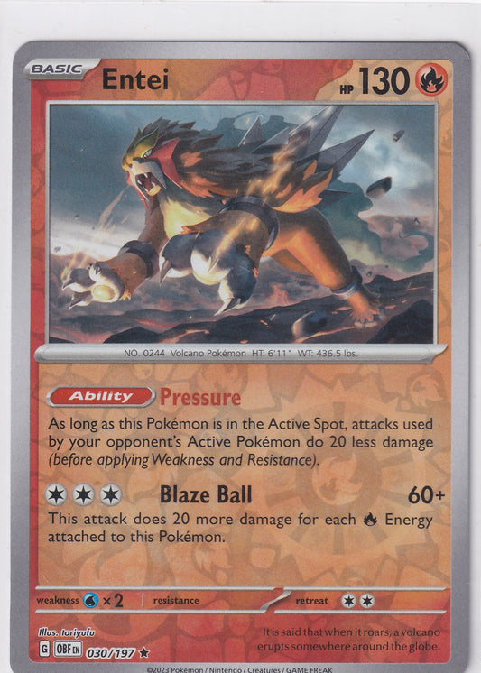 #030 Entei