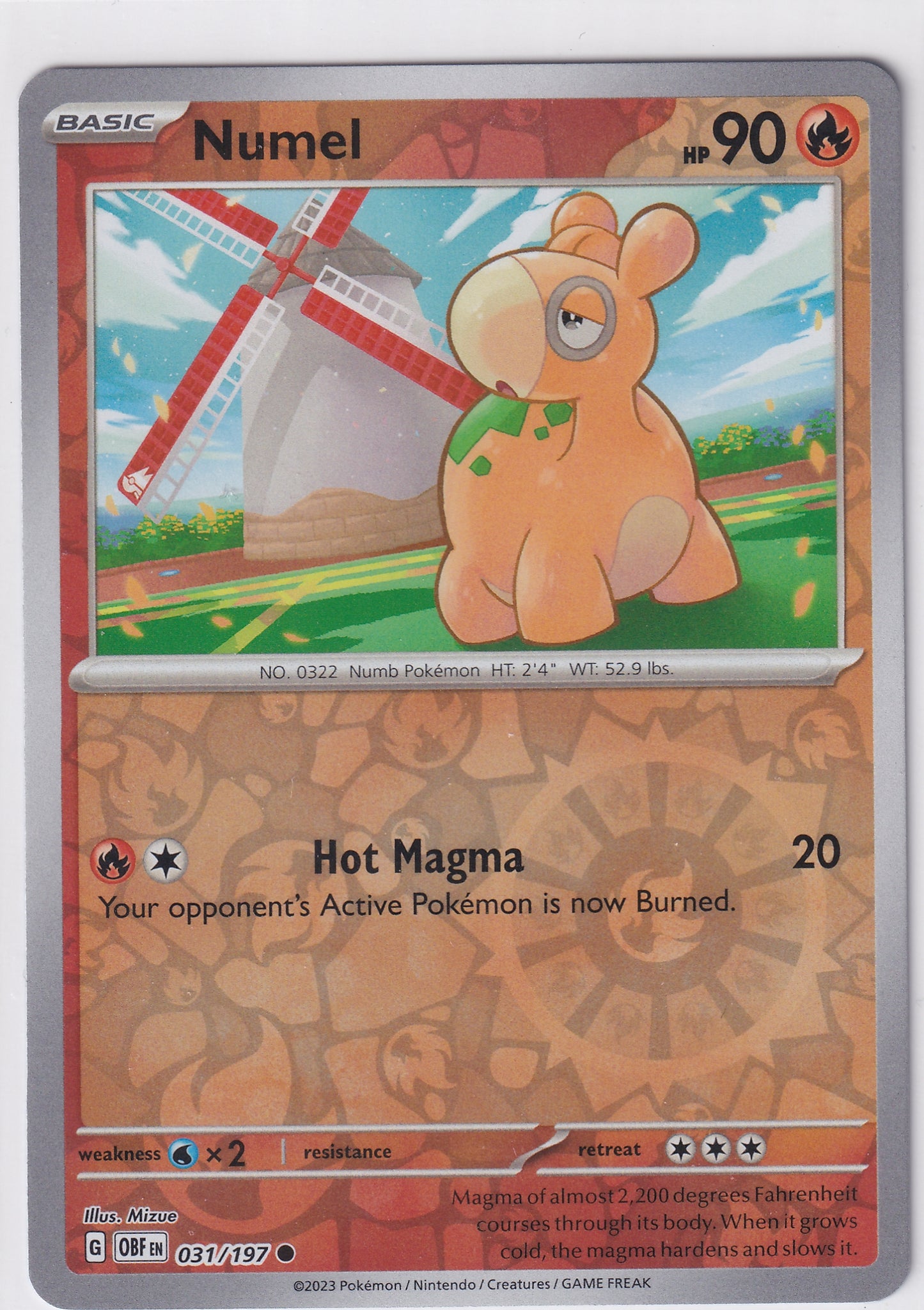 #031 Numel