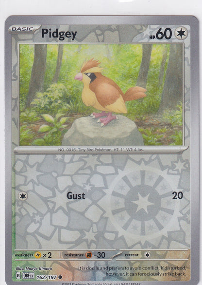 #162 Pidgey